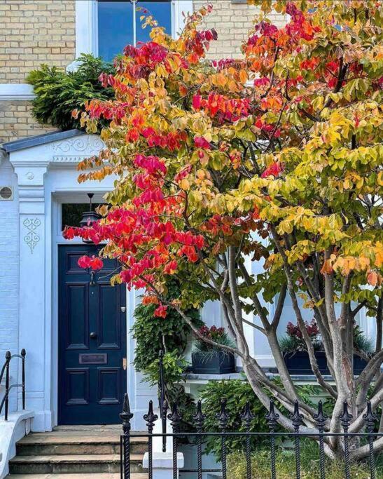 Chelsea Posh Apartment Londýn Exteriér fotografie